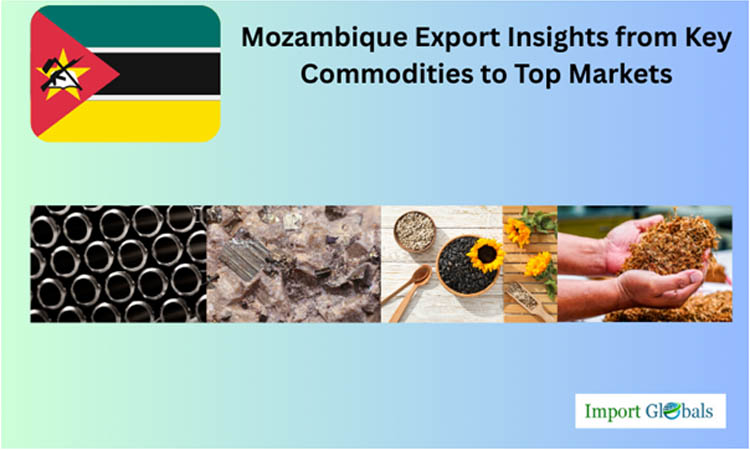 Mozambique Export Insights From Key Commodities to Top Markets