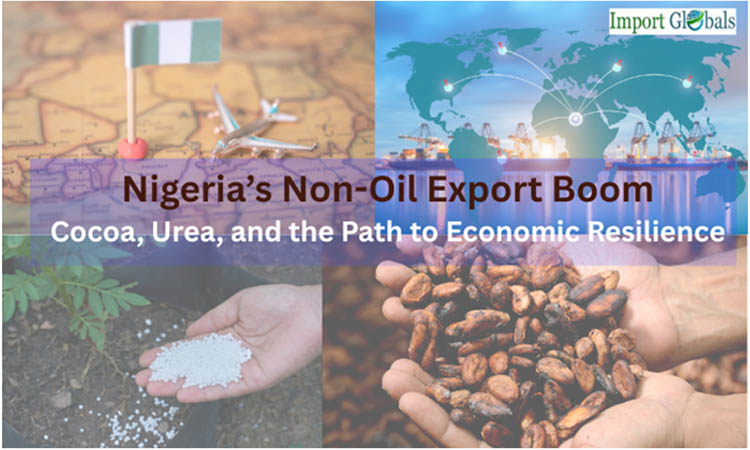 Nigeria’s Non-oil Export Boom: Cocoa, Urea, and the Path to Economic Resilience