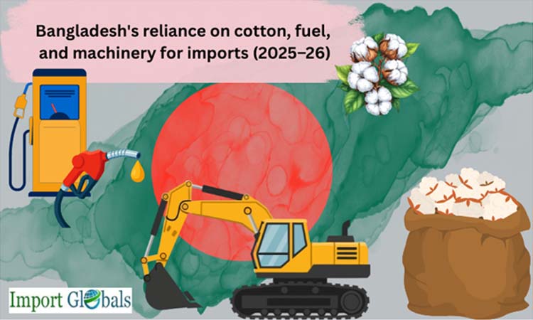 Bangladesh's reliance on cotton, fuel, and machinery for imports (2025–26)