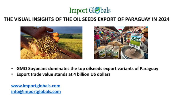 The Visual Insights of the Oil Seeds Export of Paraguay in 2024