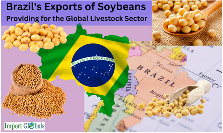Brazil's Exports of Soybeans: Providing for the Global Livestock Sector